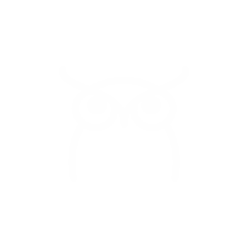 Отвечает аудитор